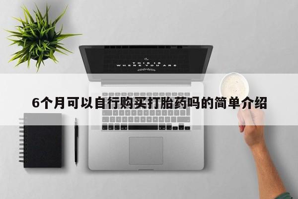 私人买的打胎药6个月可以自行购买打胎药吗的简单介绍